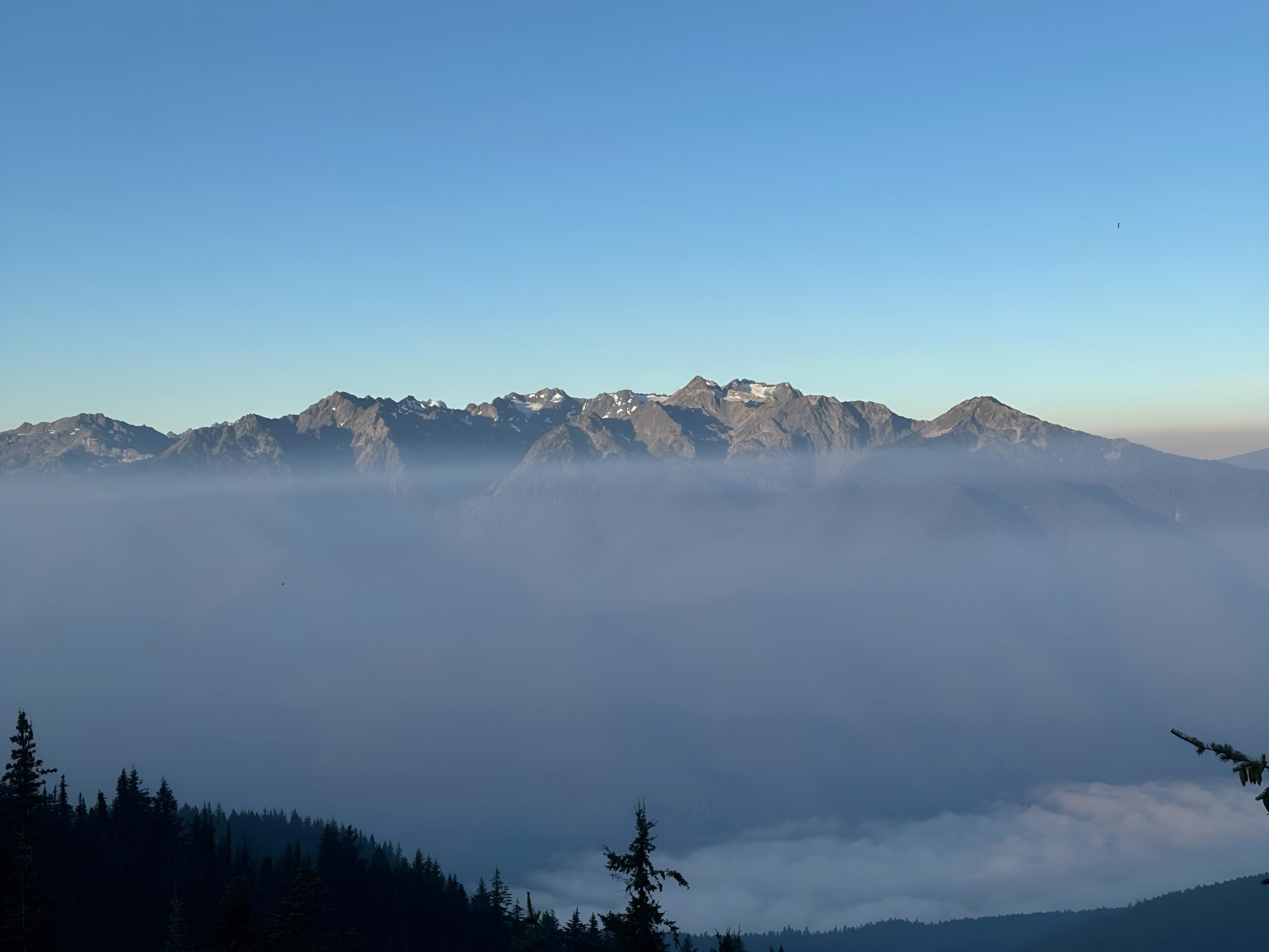 aiease 1773692844972