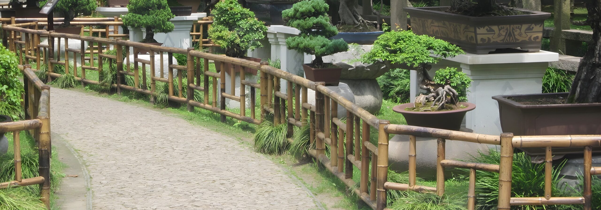 aiease 177369aa2aaaa589468