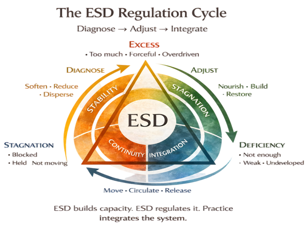 Inner Life Ecosystem esd regulation cycle
