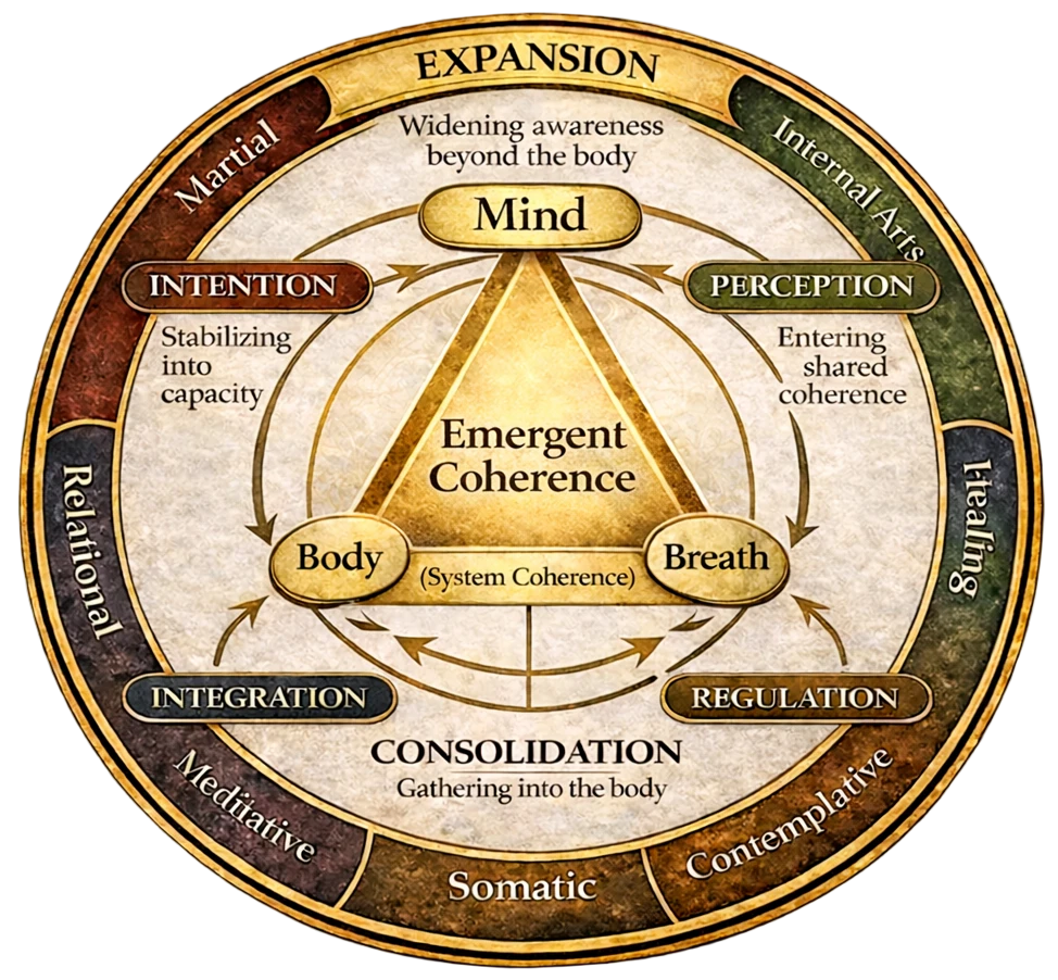 imt emergent coherence practice field
