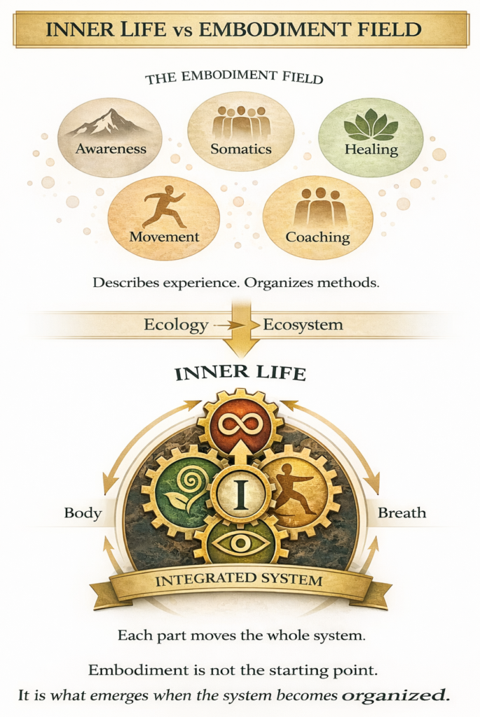 Inner Life Ecosystem inner life vs embodiment field infographic (final)