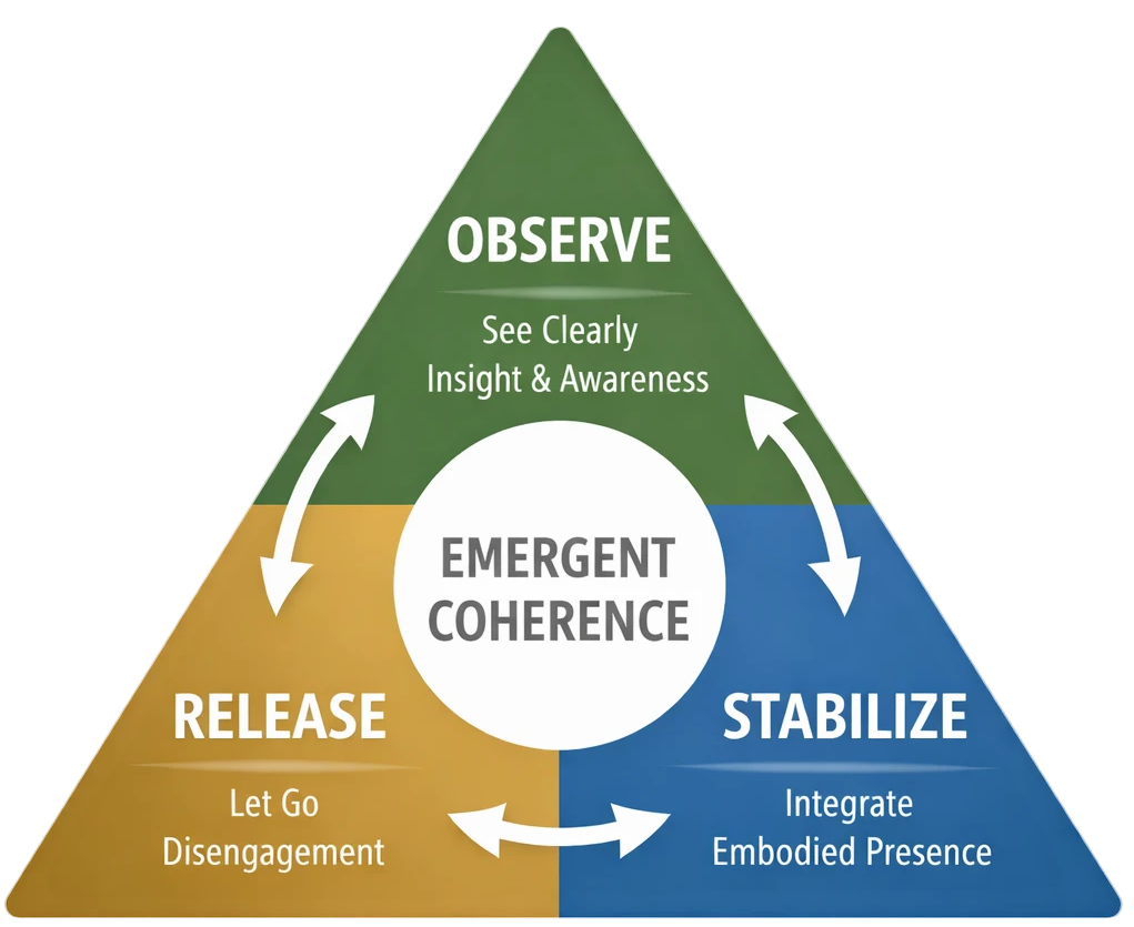 ESD model showing excess, stagnation, and deficiency within a circular system of emergent coherence