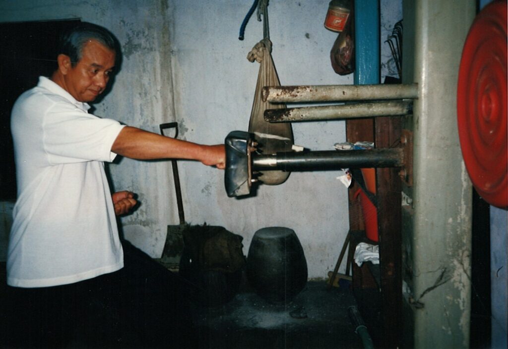 png iron fist