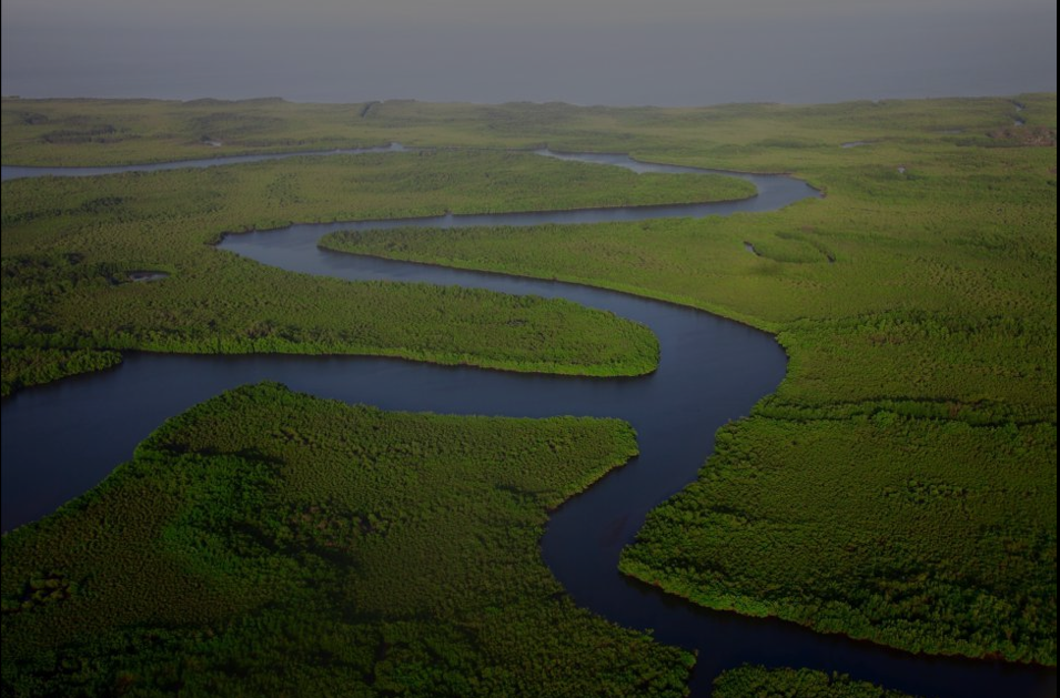 Inner Life Model screenshot 2026 04 08 091739