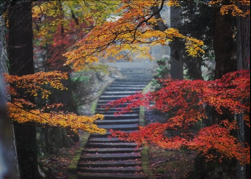 screenshot 2026 04 13 105545