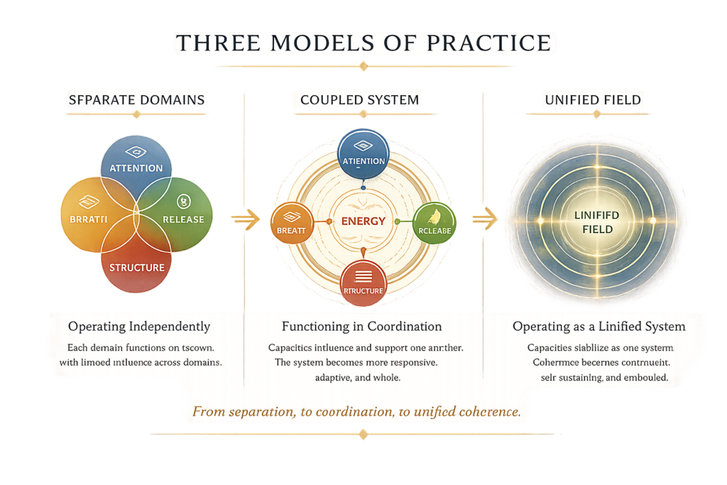 Three models of practice (transparent)