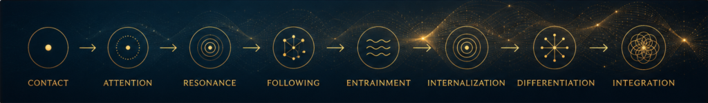 Abstract resonance-field graphic illustrating the progression from imitation to resonance to integration through interconnected wave patterns, geometric fields, and emergent organizational structure.