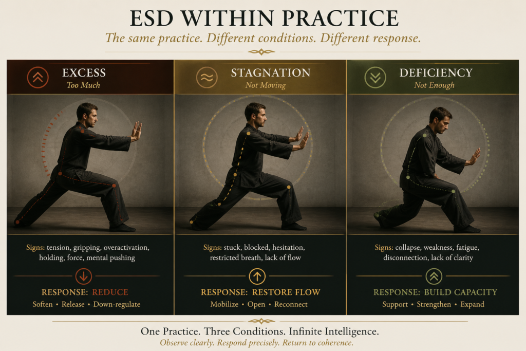 ESD model in practice showing excess, stagnation, and deficiency within the same movement, each requiring different adjustment