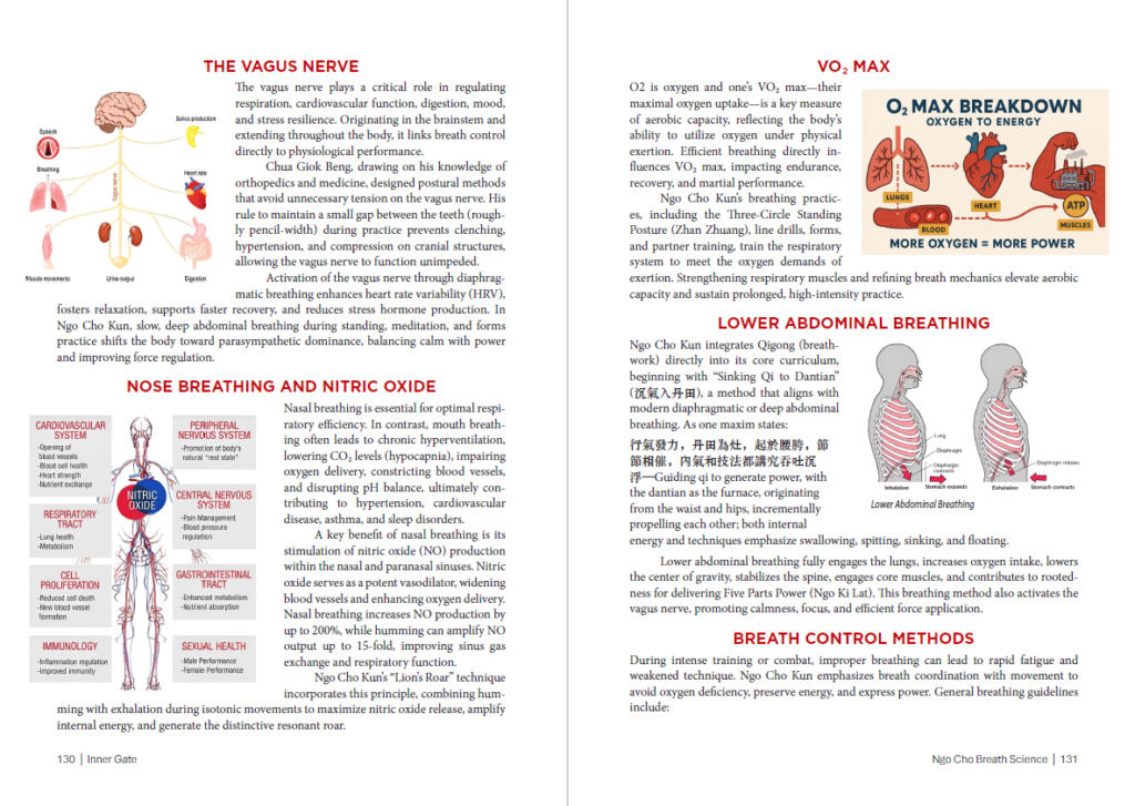 Traditional Wuzuquan (Five Ancestor Fist) breathing and internal force training methods from Inner Gate by Mark V. Wiley