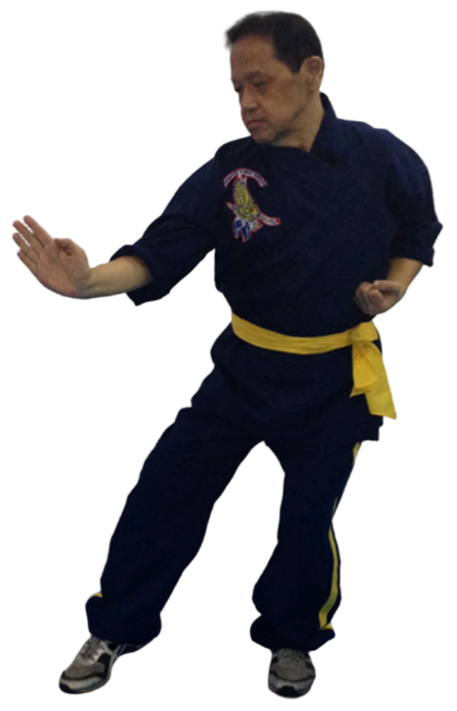 Alex Co Ngo Cho Kun Five Ancestor Fist embodied posture