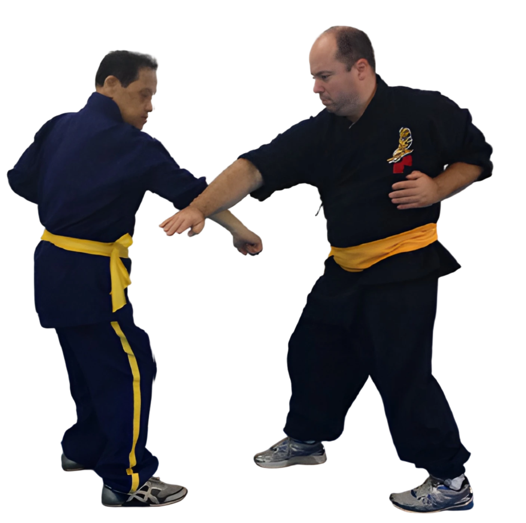 Embodied martial arts practice and internal development represented through the Inner Gate transmission