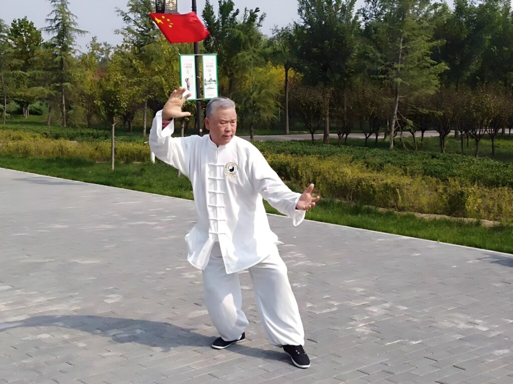 Tai Chi principles beyond style reflection image