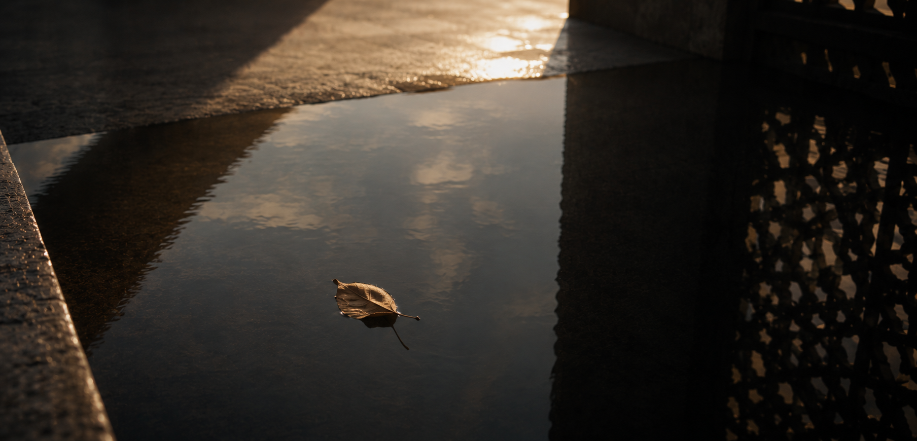 Tai Chi beyond style reflection image with leaf floating in still water