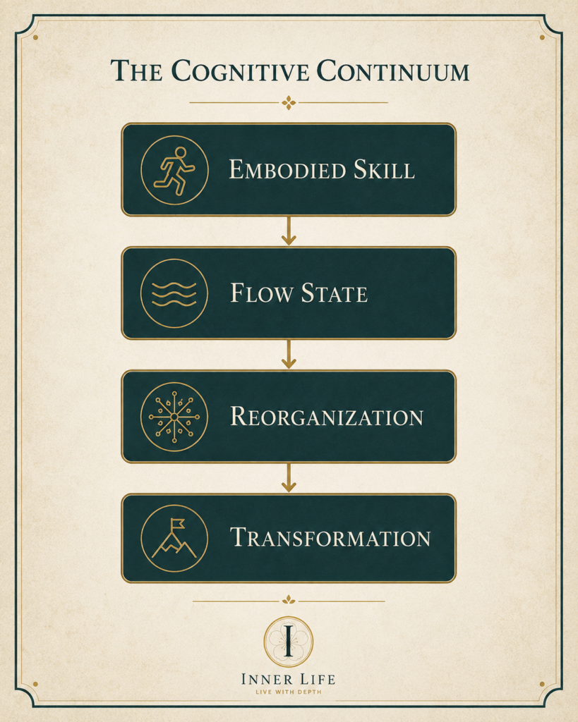 Diagram illustrating the progression from embodied skill to flow state, reorganization, and human transformation.