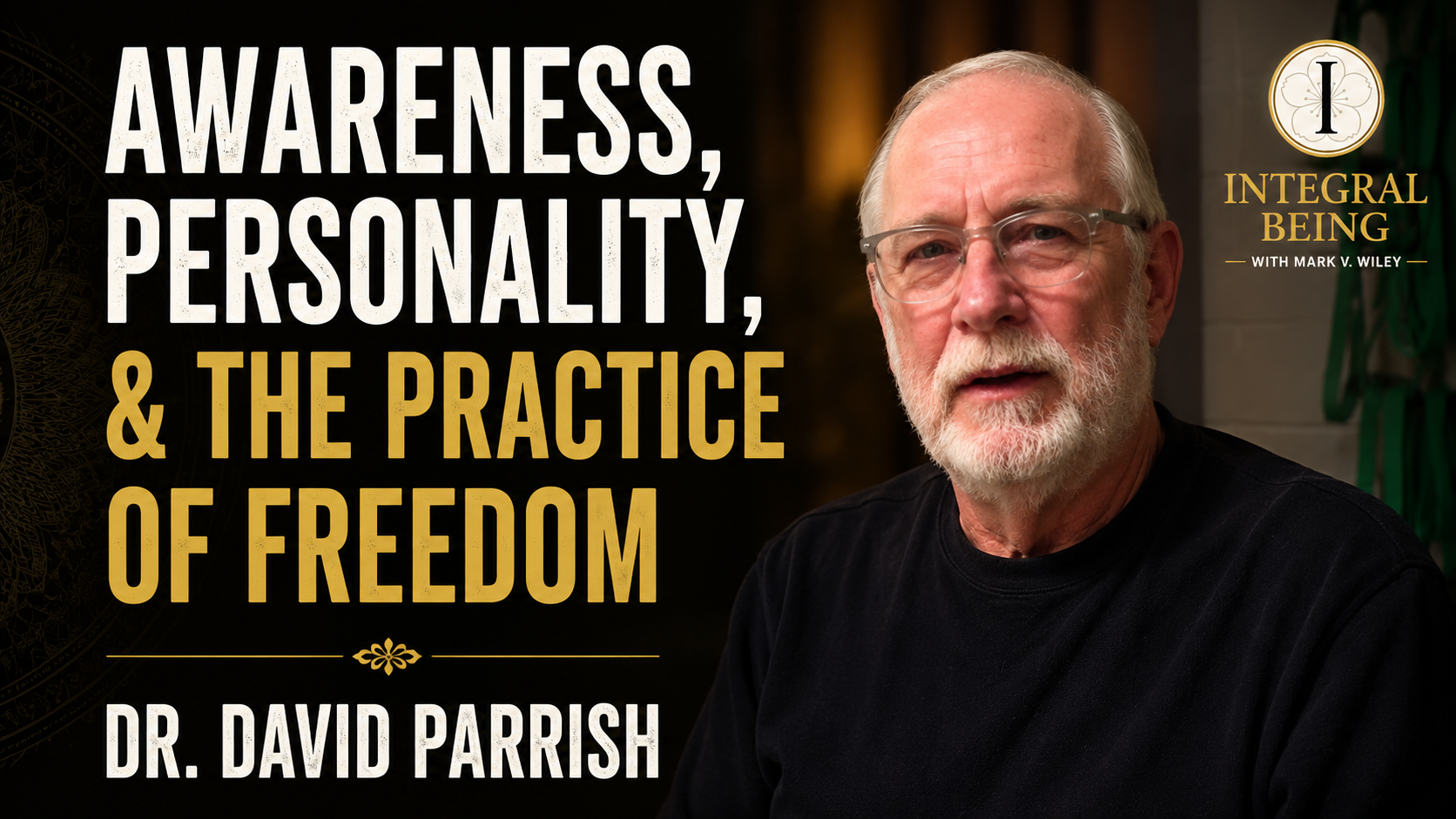 David Parrish on Integral Being discussing personality, meditation, awareness and human transformation