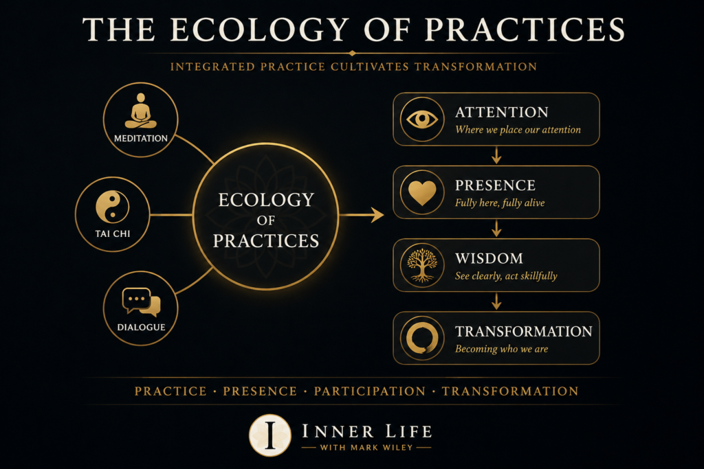 Diagram illustrating John Vervaeke's ecology of practices, showing how meditation, Tai Chi, dialogue, attention, presence, and wisdom work together to cultivate genuine human transformation.