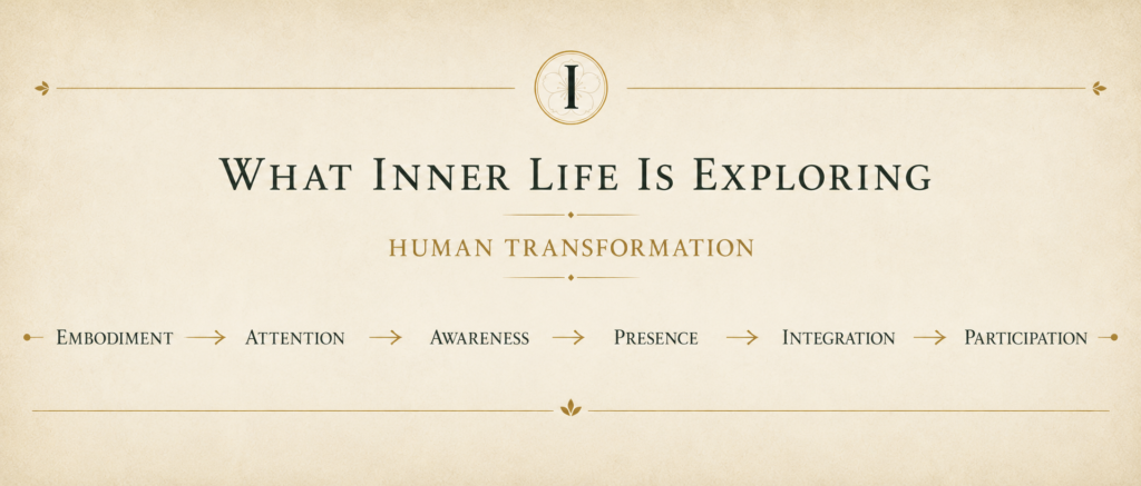 Human transformation model showing the progression from embodiment and attention to awareness, presence, integration, and participation.