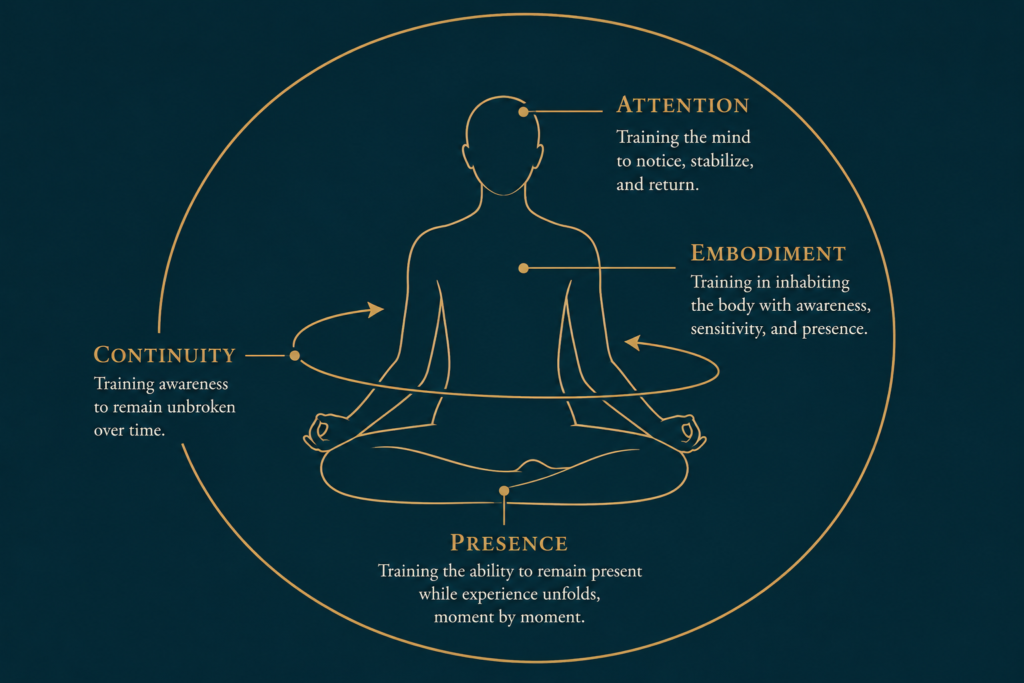 What is meditation really training? Conceptual illustration showing meditation as the cultivation of attention, embodiment, continuity, and presence through an integrated human system.