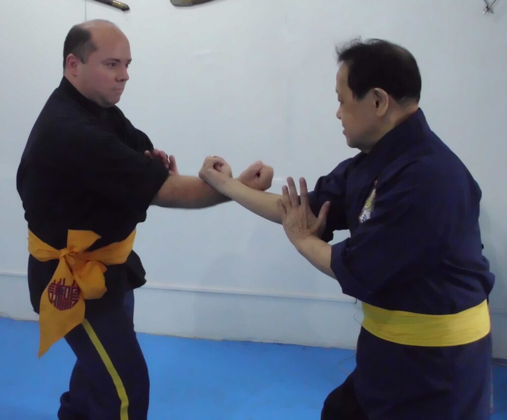 Ngo Cho Kun practitioners Mark V Wiley and Alex Co performing center-arm structure testing to evaluate rooting, alignment, and force expression under pressure.