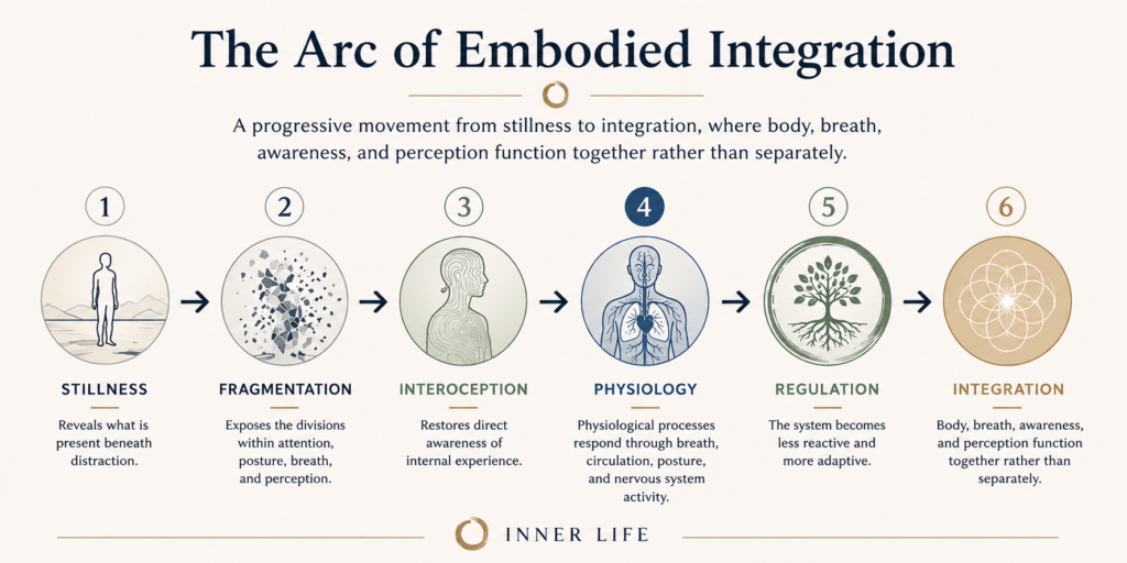 The Arc of Embodied Integration showing the progression from stillness and fragmentation to interoception, physiology, regulation, and integrated embodied awareness through standing practice.