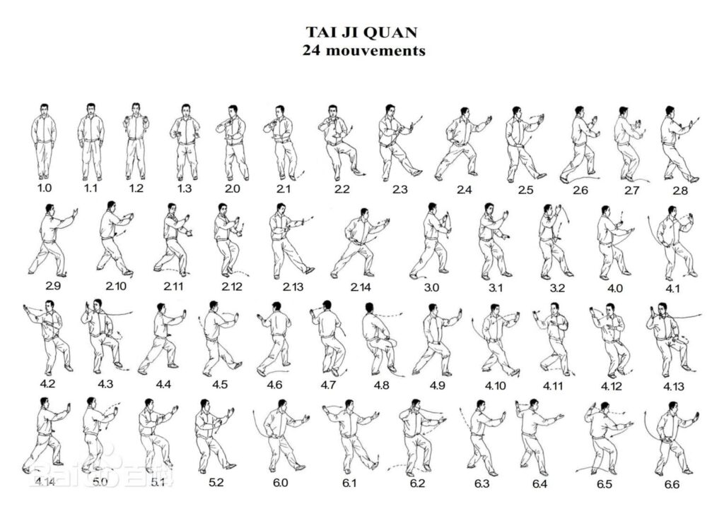Illustration of the simplified Tai Chi 24 Form sequence showing the progression of postures and movements commonly practiced in Yang-style Tai Chi.