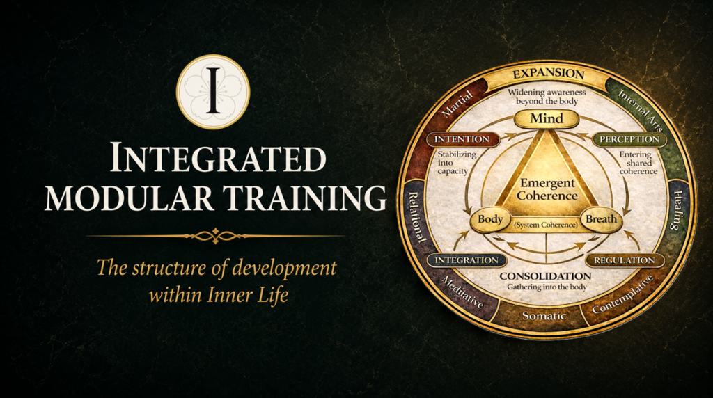 Integrated Modular Training (IMT) diagram illustrating a progressive embodied training system that develops awareness, movement, structure, adaptability, and integrated human performance through sequential practice modules.
