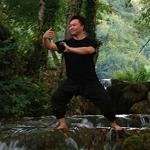 Tai Chi master Alex Dong demonstrating a traditional posture that embodies principles of balance, structure, and organized movement beyond technique.
