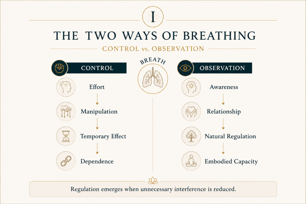 Inner Life infographic comparing control and observation in breathing, showing how observation leads to natural regulation, embodiment, and lasting capacity.