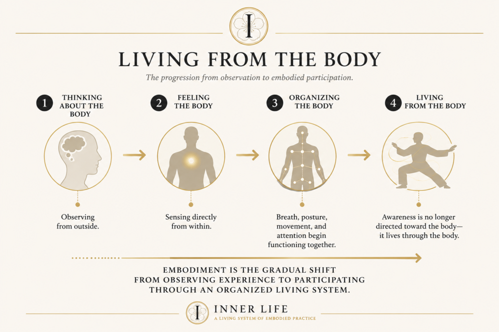 Living From the Body diagram illustrating the progression from thinking about the body to feeling, organizing, and living from the body through embodied practice.