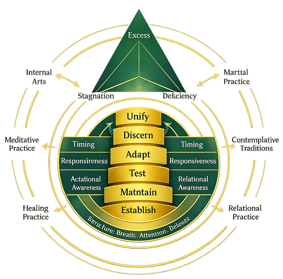 The Practice Field diagram illustrating how martial arts, contemplative, healing, relational, and meditative practices cultivate shared human capacities that develop through regulation, integration, and embodiment.