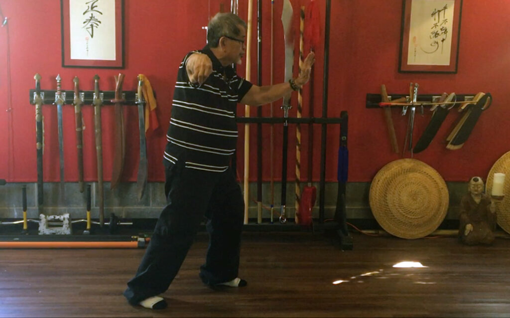 Grandmaster René Navarro performing the classical Single Whip posture, demonstrating traditional Tai Chi structure, alignment, balance, and embodied internal cultivation.