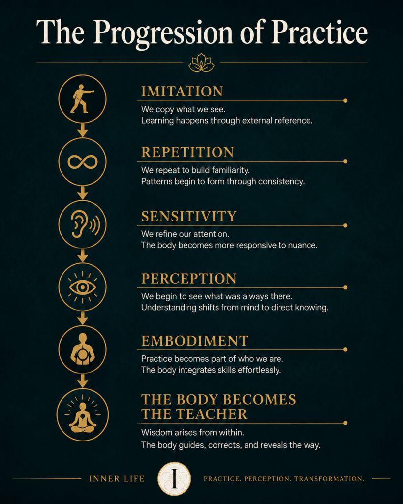 The Progression of Practice infographic illustrating when the body starts teaching you through imitation, repetition, sensitivity, perception, and embodiment.