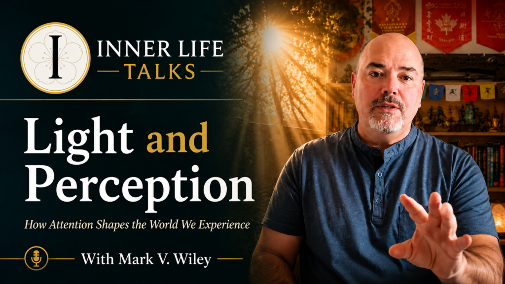 Mark V. Wiley explores light and perception, attention, awareness, and how we experience the world.