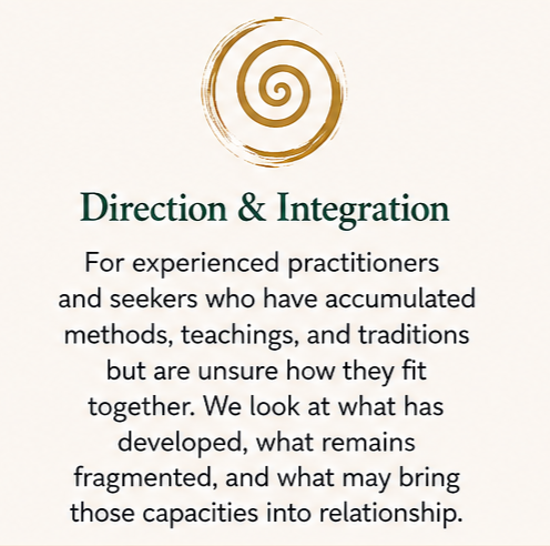 Direction and Integration guidance for experienced practitioners bringing methods, teachings, and cultivated capacities into relationship.