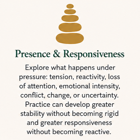 Private Inner Life Guidance for developing greater presence, stability, and responsiveness under pressure.