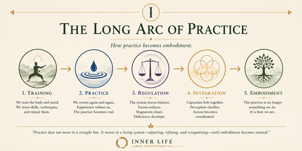 Infographic illustrating the Long Arc of Practice, showing the progression from Training to Practice, Regulation, Integration, and Embodiment as the path of long-term human development.