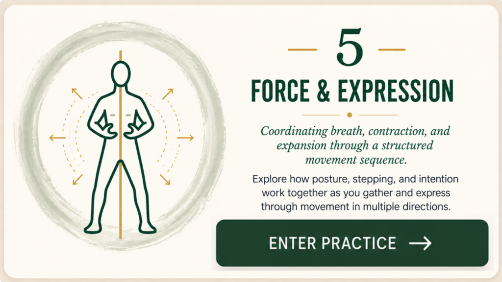 inner life practice 5 | force and expression