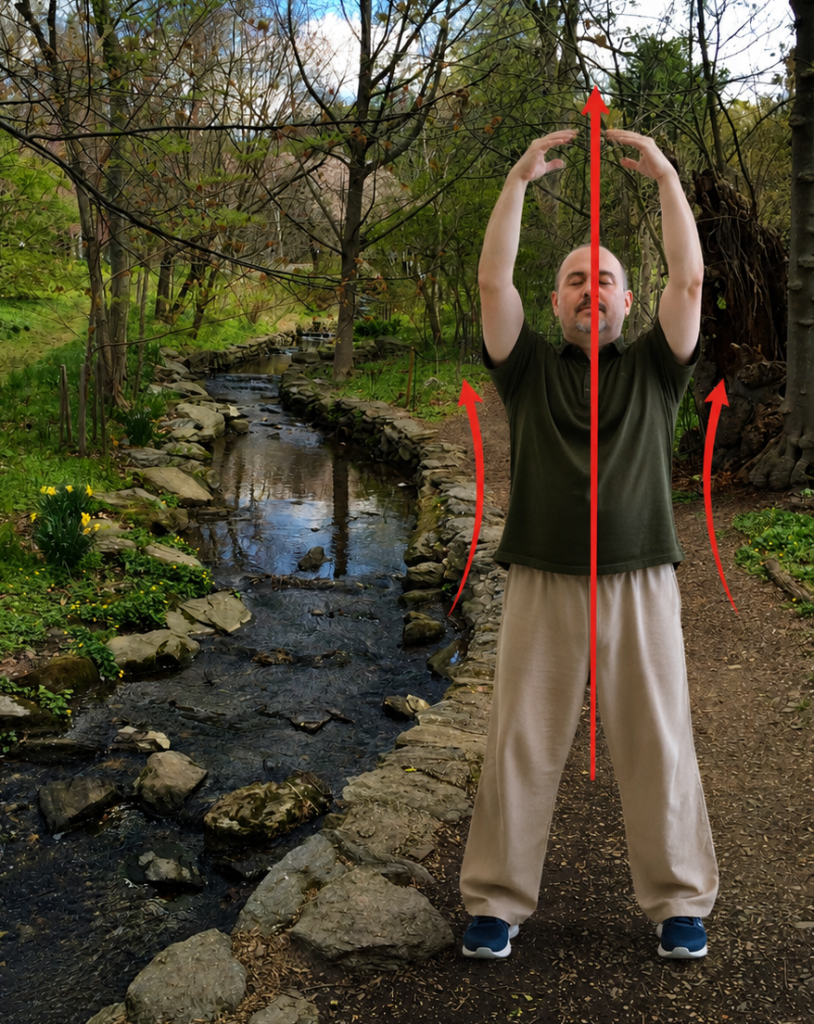 Mark Wiley practicing Qigong outdoors with red arrows illustrating upward energy flow through the body.