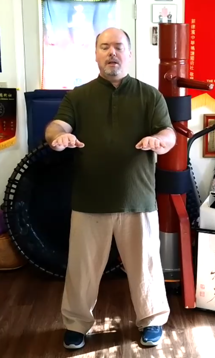Mark Wiley standing in Zhan Zhuang posture during embodied practice.